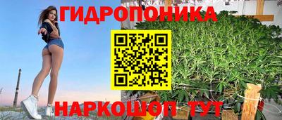 стаф Гусиноозёрск