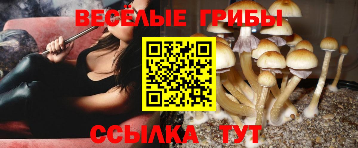 Псилоцибиновые грибы MAGIC MUSHROOMS  Псилоцибиновые грибы мицелий  Корсаков  Вход с VPN 